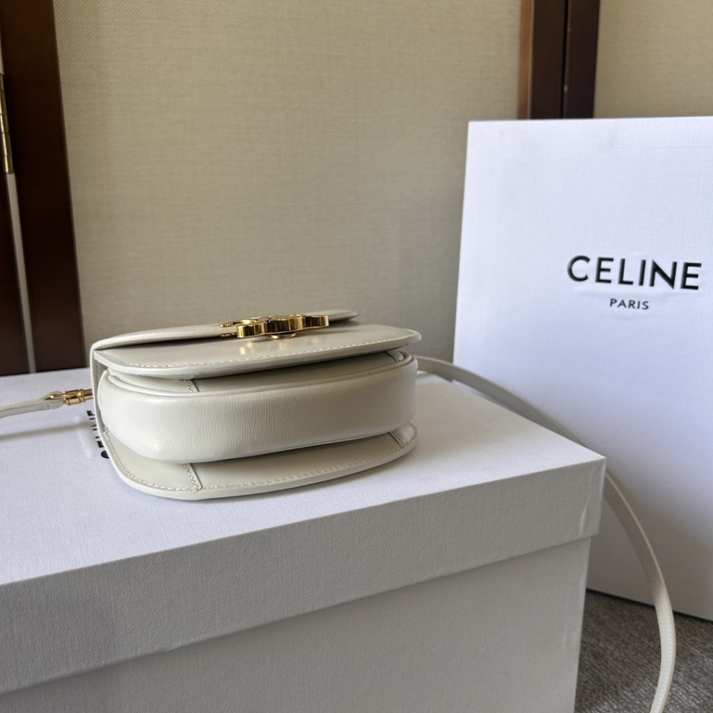 Celine Celine Medium CELINE PRINTED TRIOMPHE leatherette messenger bag