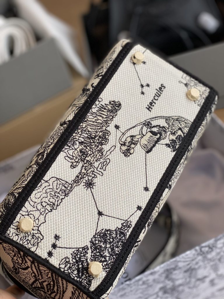 DIOR Medium Diana Bag/Customer order