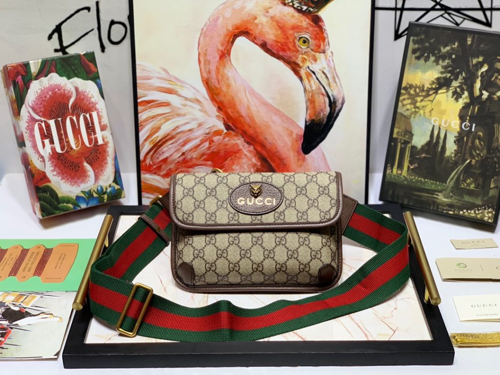 Gucci bag