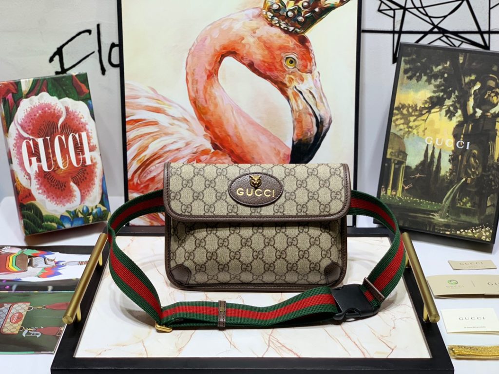 Gucci bag