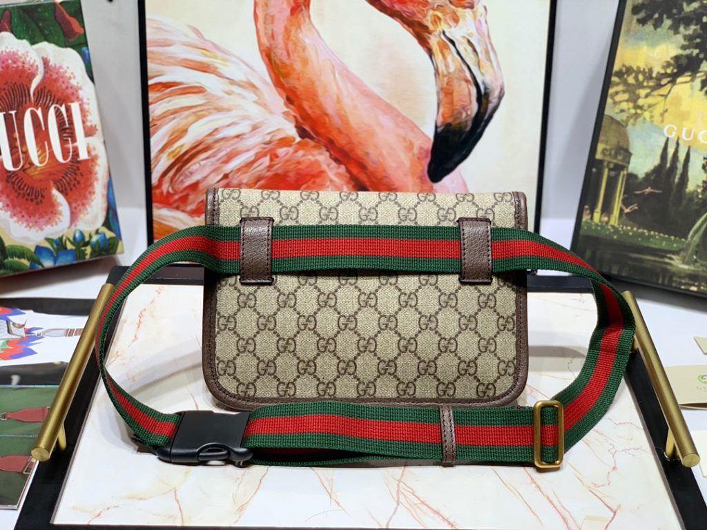 Gucci bag