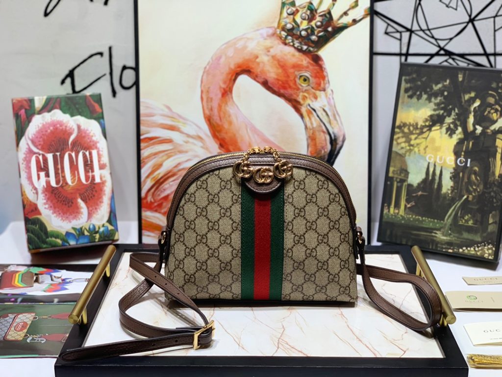 Gucci bag