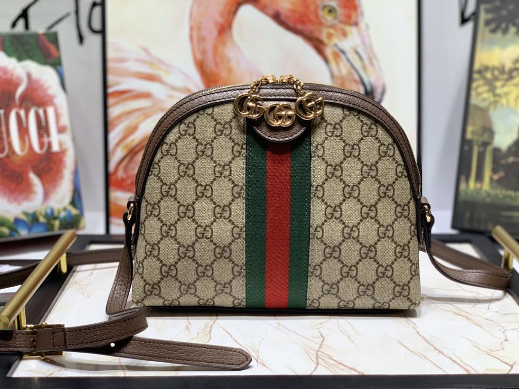 Gucci bag