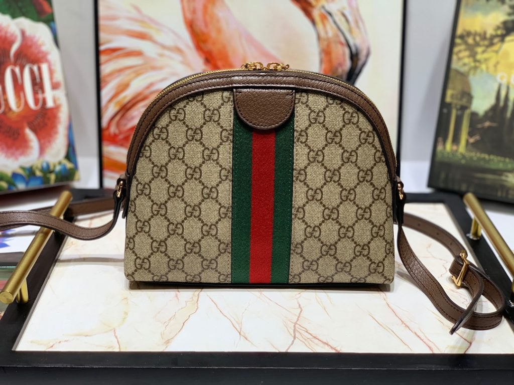 Gucci bag