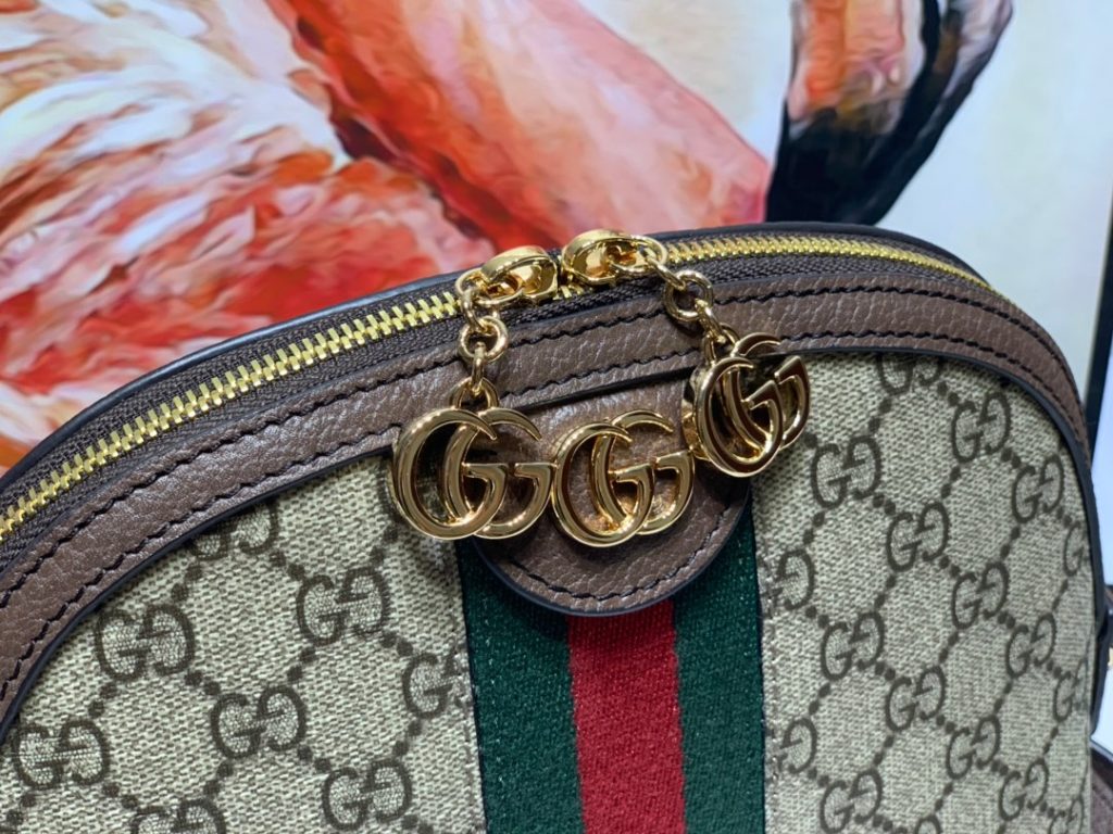 Gucci bag