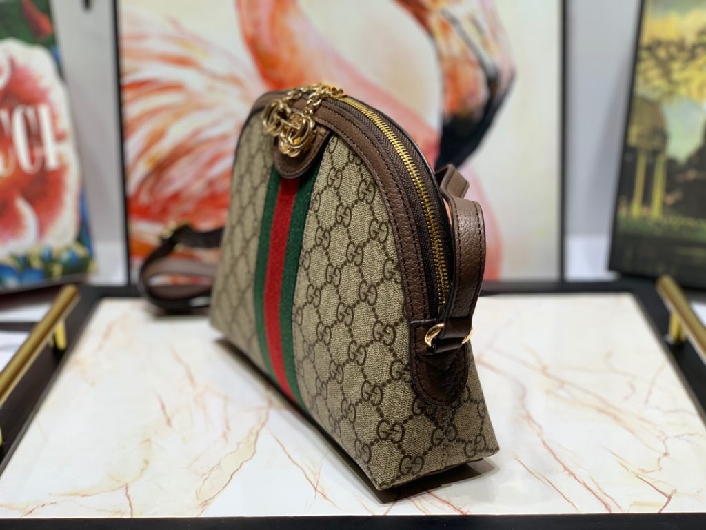 Gucci bag