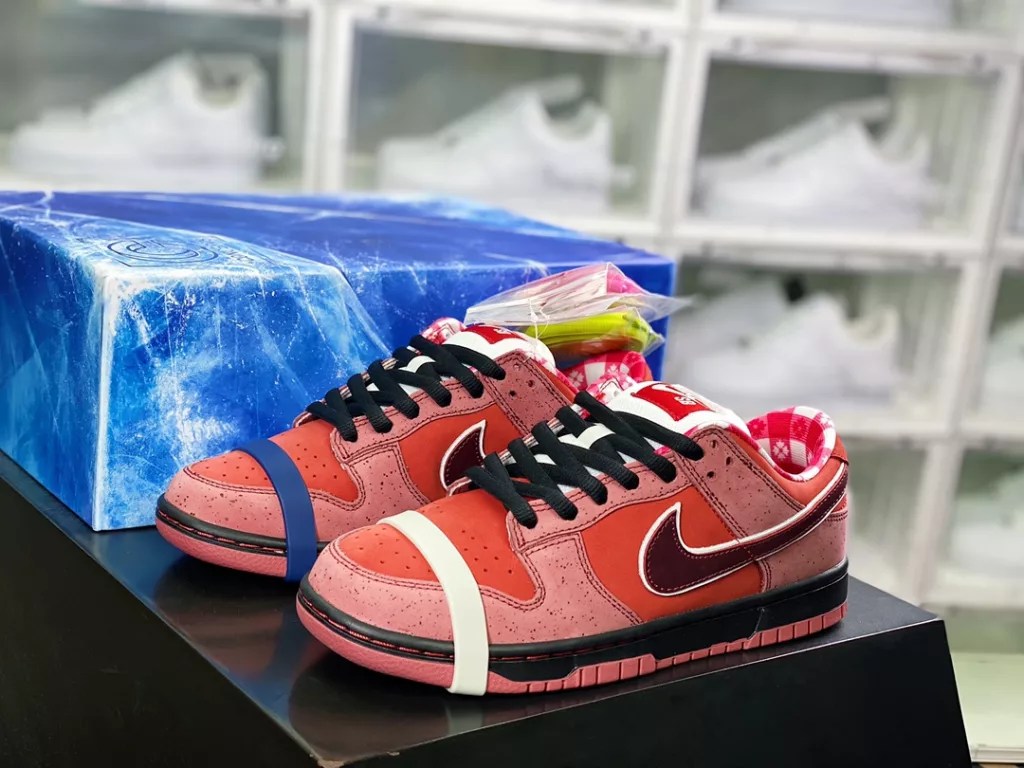 Co branded Boston renowned shoe store Concepts x Nike SB Dunk Low 