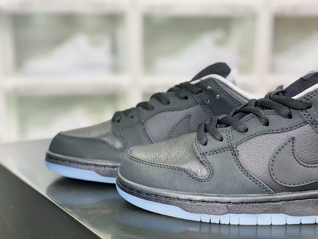 SB Dunk Low Retro 