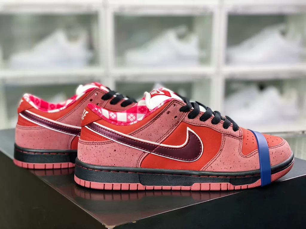 Co branded Boston renowned shoe store Concepts x Nike SB Dunk Low 