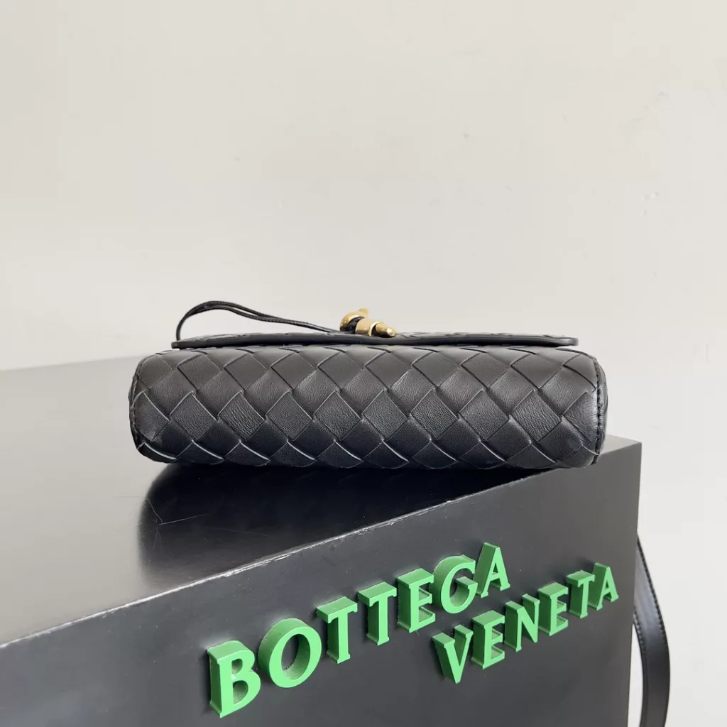 Bottega Veneta Mini andiamo bag