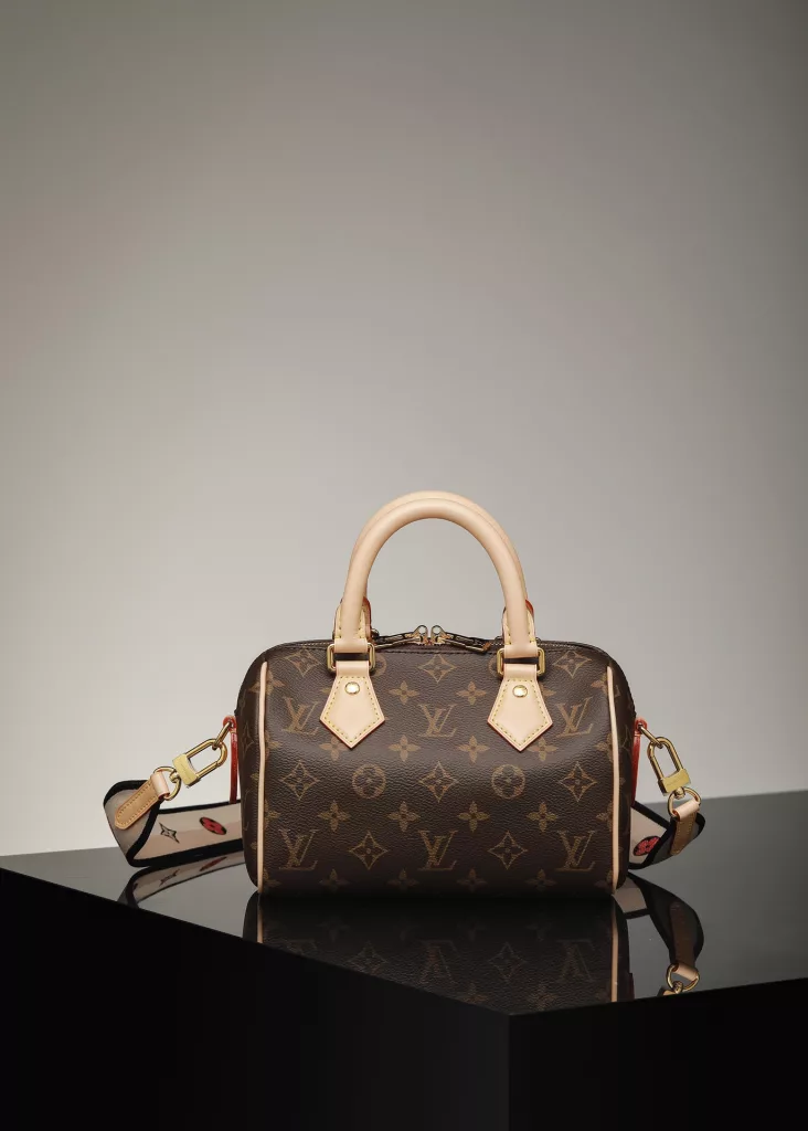 Louis Vuitton speedy bandouliere