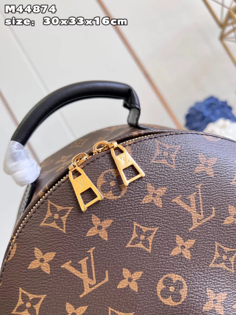 Louis Vuitton Palm Springs medium backpack