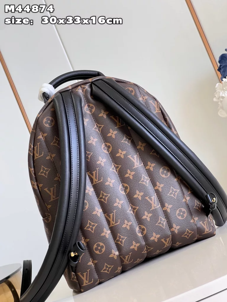 Louis Vuitton Palm Springs medium backpack