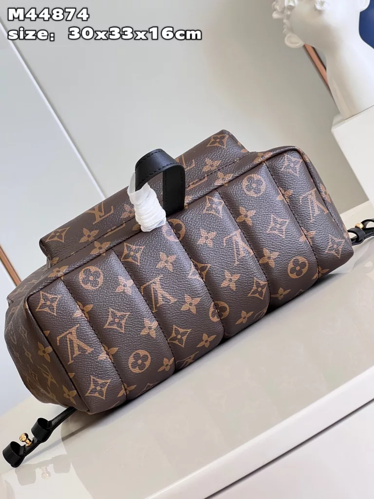 Louis Vuitton Palm Springs medium backpack