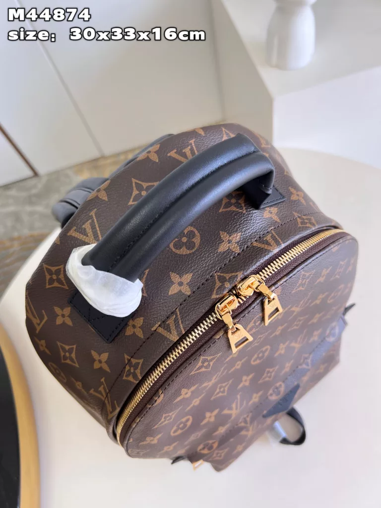 Louis Vuitton Palm Springs medium backpack