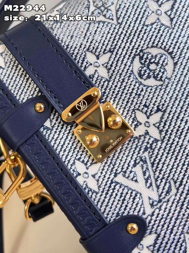 Louis Vuitton Side Trunk handbag