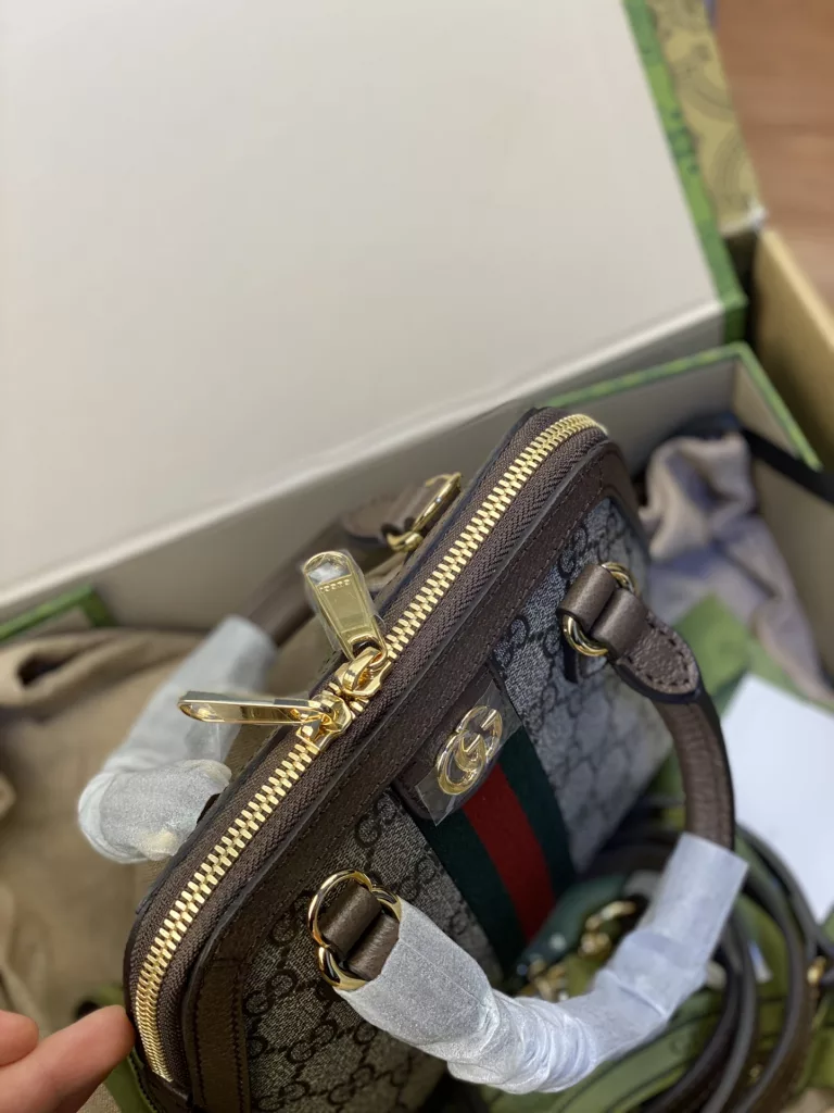 Gucci Ophidia mini handbag