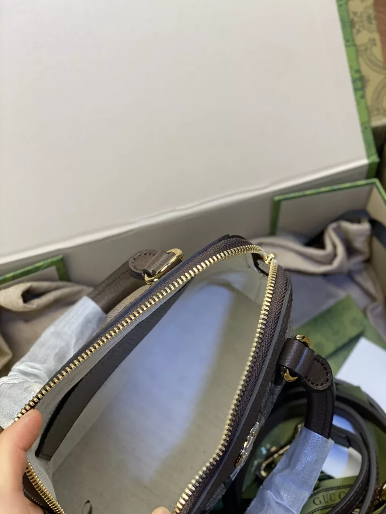 Gucci Ophidia mini handbag