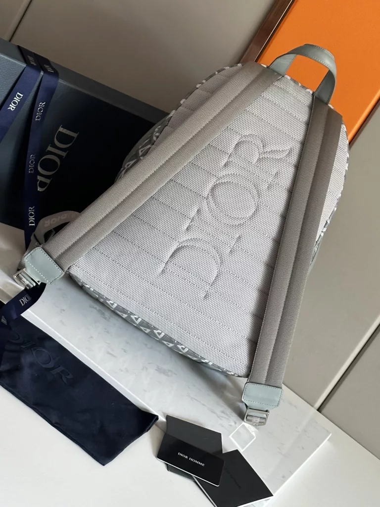 Dior backpack