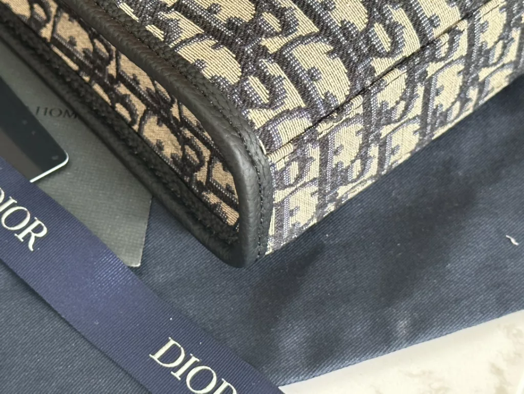 Dior Safari North-South Mini handbag