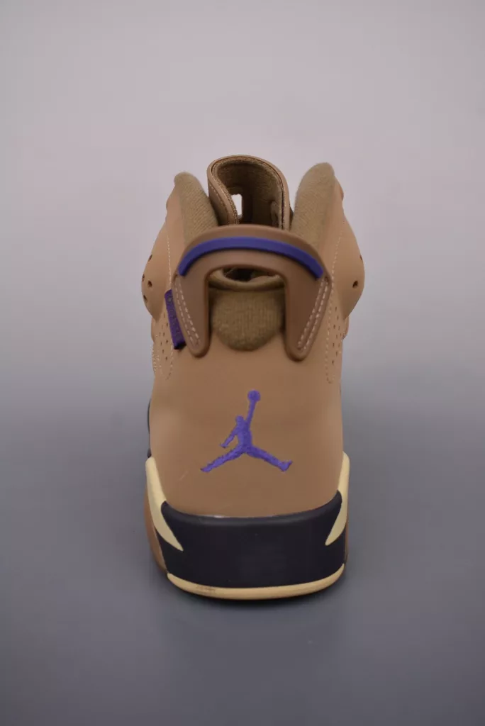 Air Jordan 6 retro shoes