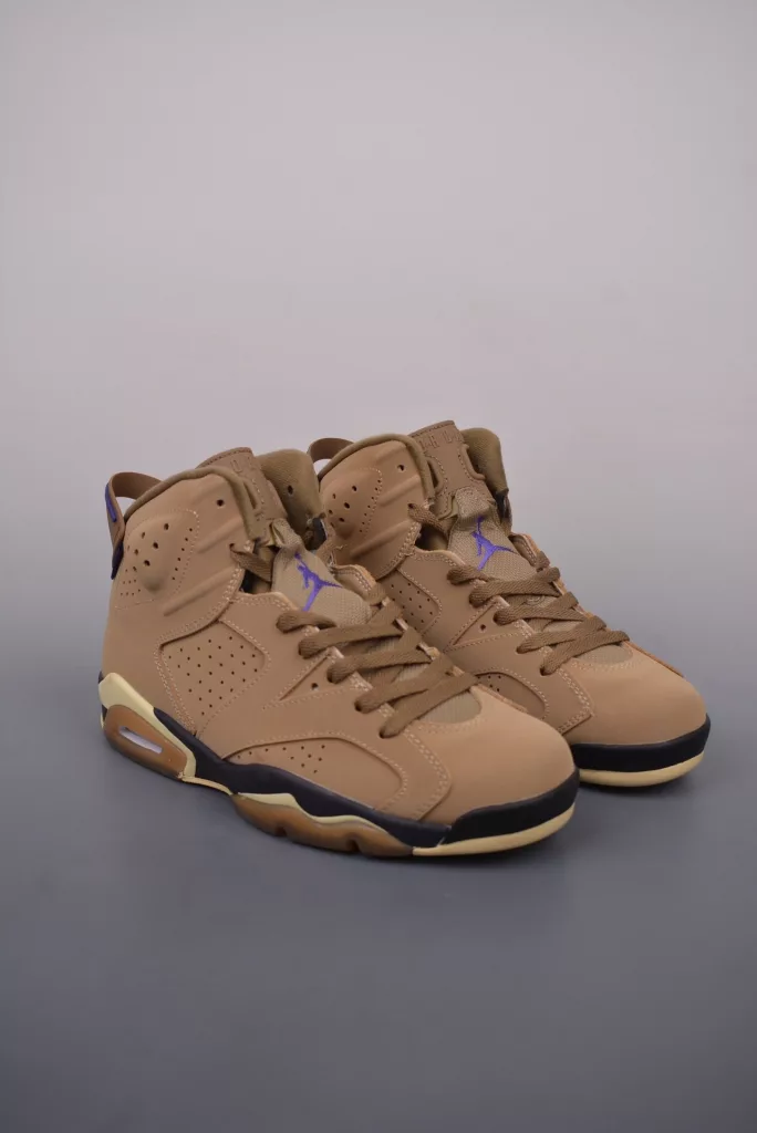 Air Jordan 6 retro shoes