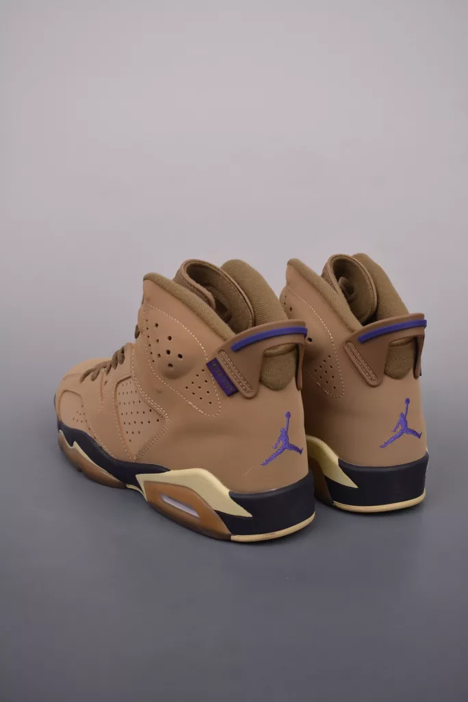 Air Jordan 6 retro shoes