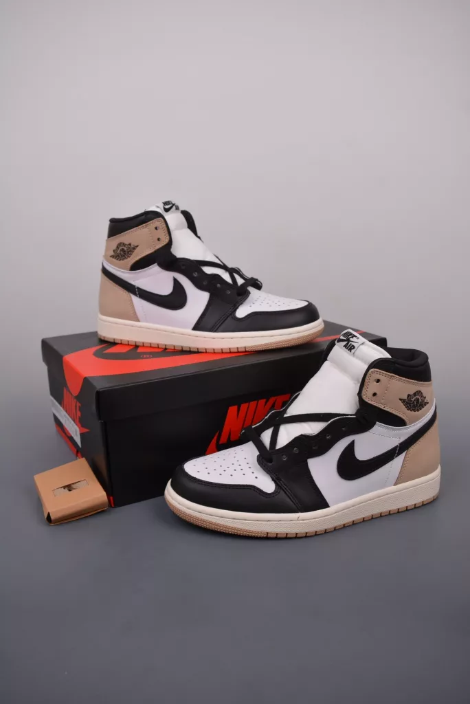 Air Jordan 1 High OG brown and black shoes