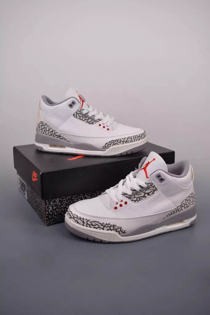 Air Jordan 3 retro shoes