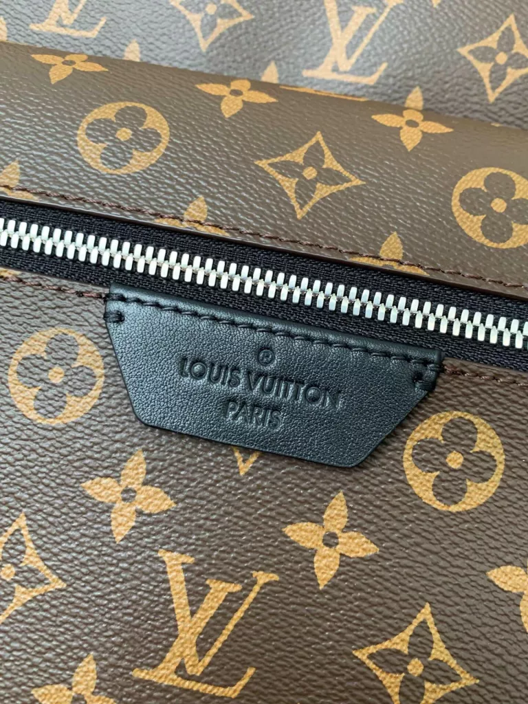 Louis Vuitton backpack