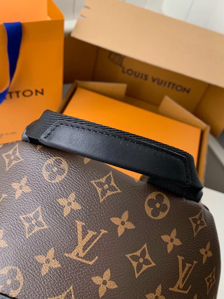 Louis Vuitton backpack