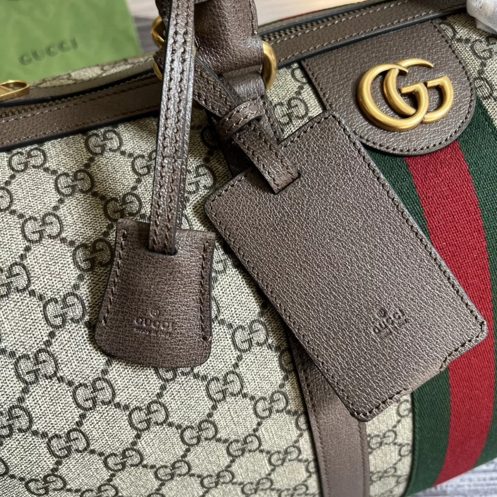 Gucci travel bag