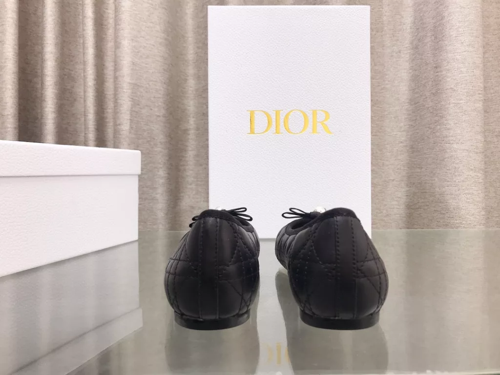 Dior women's shoes