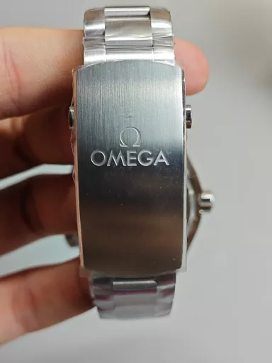 Omega Seamaster Planet Ocean 600